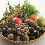 �n���O�g�ւ̑z��